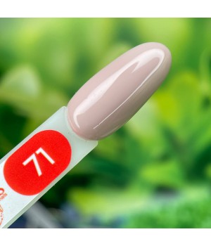 База French Rubber Base Roks 12 ml №71 TPO free